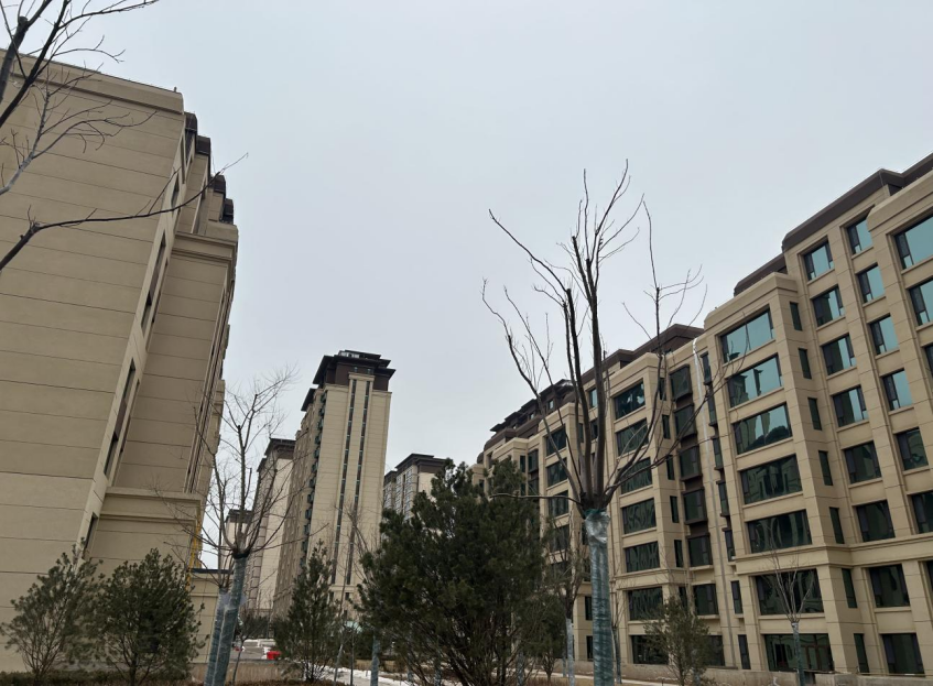 �R̶�����Ҹ��ǣ����ϣ�